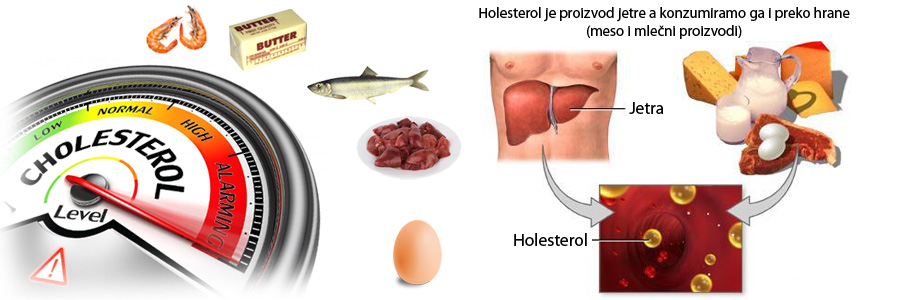 Holesterol problemi iz drugog ugla - dobre i loše masti pod znakom pitanja. Kada su masnoće u pitanju postoji puno zabluda a najviše ih je kod proteina.