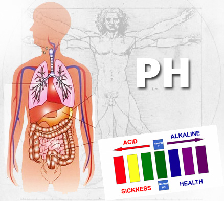 Kisela PH vrednost osnova je teških bolesti. Loša hrana povećava kiselost organizma a ta kiselost dovodi do pojave hroničnih bolesti.
