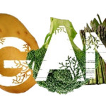 Organska hrana je preduslov zdrave ishrane. Ako se lečite hranom i alternativom, poželjno je da hrana bude organski proizvod bez otrova i pesticida.