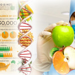 GMO genetski modifikovani organizmi