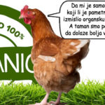 Organska piletina - organsko meso