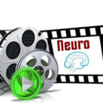 video_neuro2